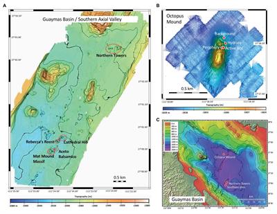 Microbial Communities Under Distinct Thermal and Geochemical Regimes in Axial and Off-Axis Sediments of Guaymas Basin